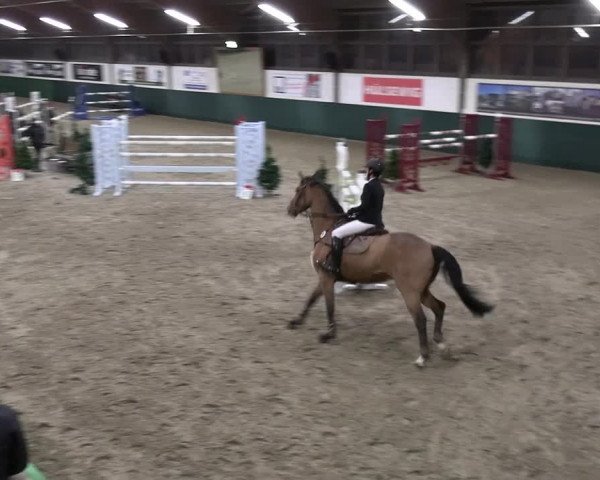 Reitturnier Jöllenbeck-Reitanlage Sonntag 2023