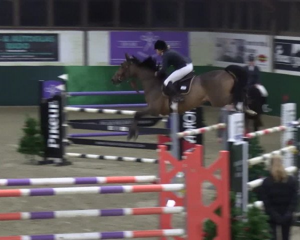 Reitturnier Jöllenbeck-Reitanlage Sonntag 2023