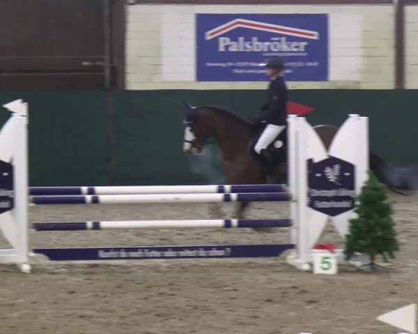Reitturnier Jöllenbeck-Reitanlage Sonntag 2023