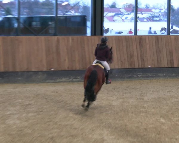Reitturnier Zwickau 2023