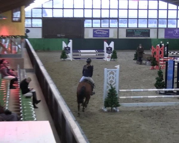 Reitturnier Jöllenbeck-Reitanlage Sonntag 2023