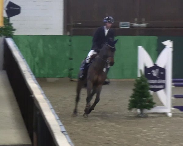 Reitturnier Jöllenbeck-Reitanlage Sonntag 2023
