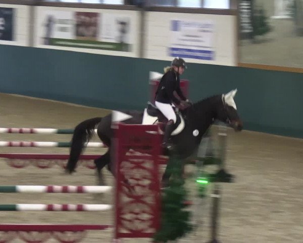 Reitturnier Jöllenbeck-Reitanlage Sonntag 2023