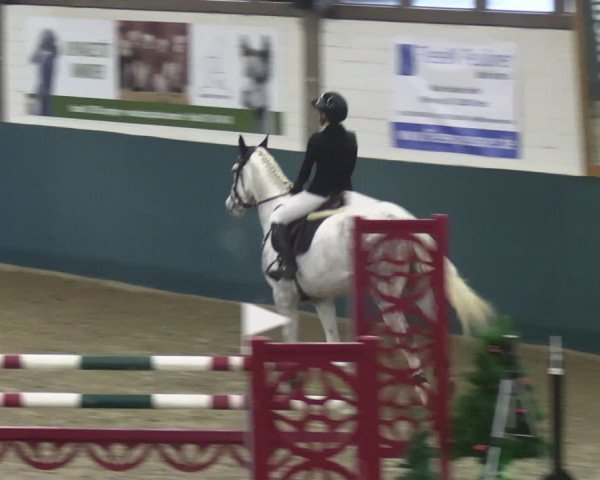 Reitturnier Jöllenbeck-Reitanlage Sonntag 2023