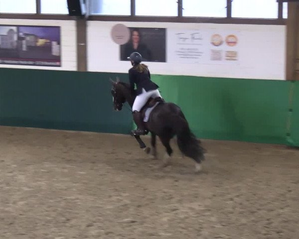 Reitturnier Jöllenbeck-Reitanlage Sonntag 2023