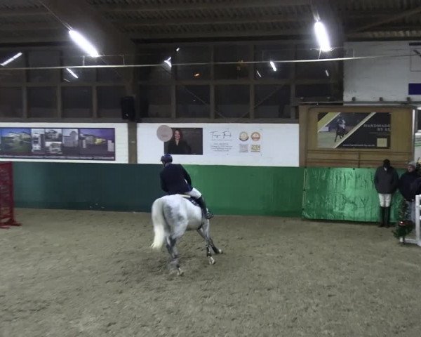 Reitturnier Jöllenbeck-Reitanlage Sonntag 2023