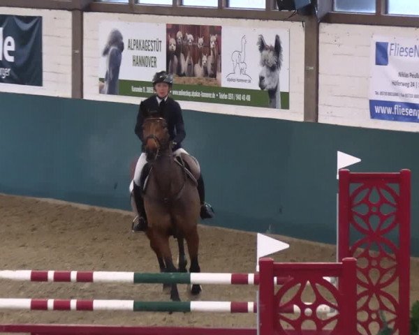 Reitturnier Jöllenbeck-Reitanlage Sonntag 2023