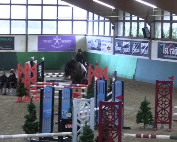 Reitturnier Jöllenbeck-Reitanlage Sonntag 2023
