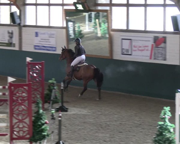 Reitturnier Jöllenbeck-Reitanlage Sonntag 2023