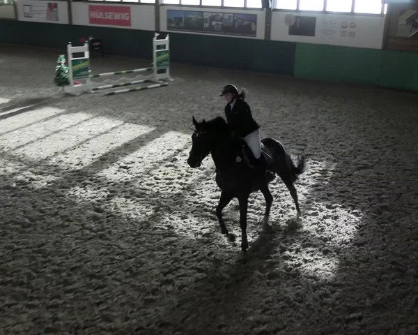 Reitturnier Jöllenbeck-Reitanlage Sonntag 2023