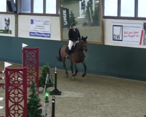 Reitturnier Jöllenbeck-Reitanlage Sonntag 2023