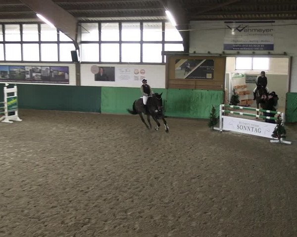 Reitturnier Jöllenbeck-Reitanlage Sonntag 2023