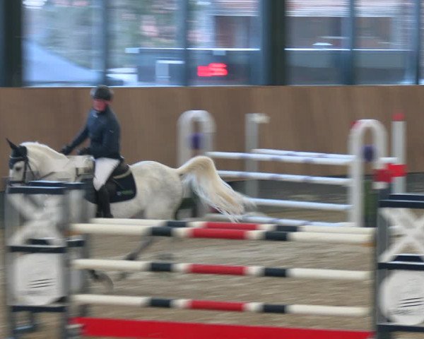 Reitturnier Zwickau 2023