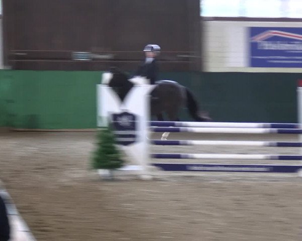 Reitturnier Jöllenbeck-Reitanlage Sonntag 2023