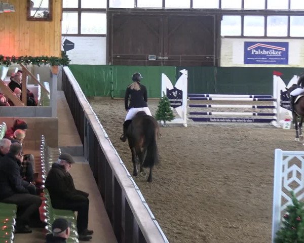 Reitturnier Jöllenbeck-Reitanlage Sonntag 2023