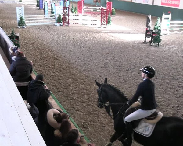 Reitturnier Jöllenbeck-Reitanlage Sonntag 2023