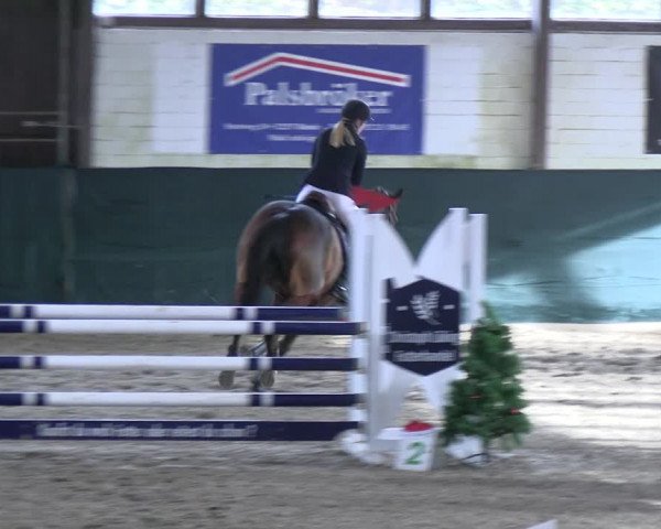 Reitturnier Jöllenbeck-Reitanlage Sonntag 2023