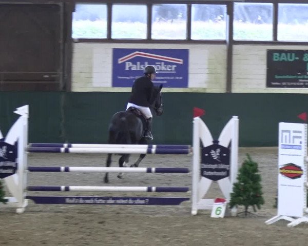 Reitturnier Jöllenbeck-Reitanlage Sonntag 2023