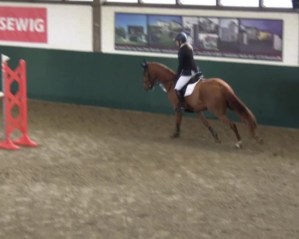 Reitturnier Jöllenbeck-Reitanlage Sonntag 2023