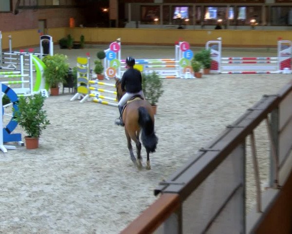 Reitturnier Hamburg-Friedrichshulde/Sylva Kuhrt 2023
