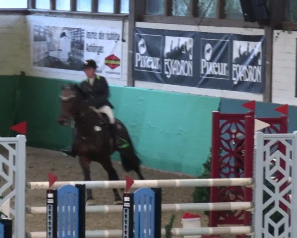 Reitturnier Jöllenbeck-Reitanlage Sonntag 2023