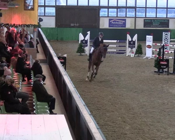 Reitturnier Jöllenbeck-Reitanlage Sonntag 2023
