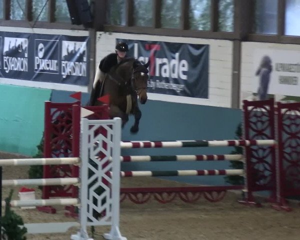 Reitturnier Jöllenbeck-Reitanlage Sonntag 2023