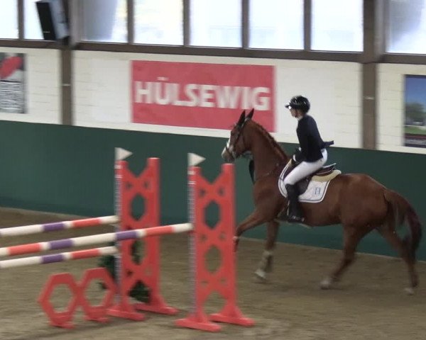 Reitturnier Jöllenbeck-Reitanlage Sonntag 2023