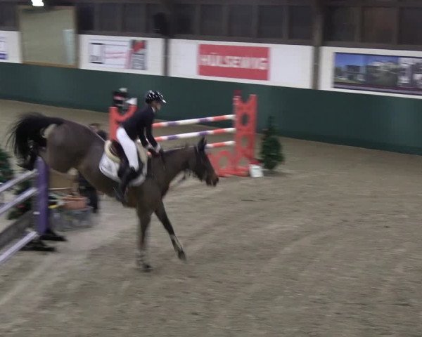 Reitturnier Jöllenbeck-Reitanlage Sonntag 2023
