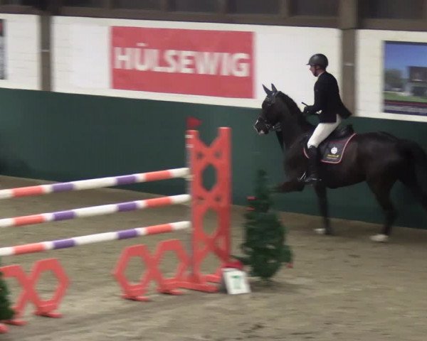 Reitturnier Jöllenbeck-Reitanlage Sonntag 2023