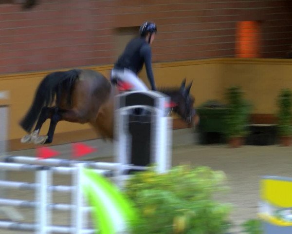 Reitturnier Hamburg-Friedrichshulde/Sylva Kuhrt 2023