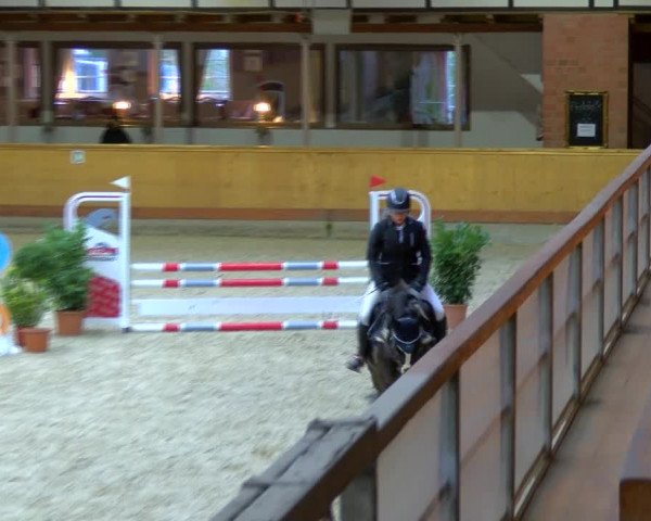 Reitturnier Hamburg-Friedrichshulde/Sylva Kuhrt 2023