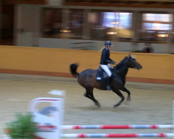 Reitturnier Hamburg-Friedrichshulde/Sylva Kuhrt 2023