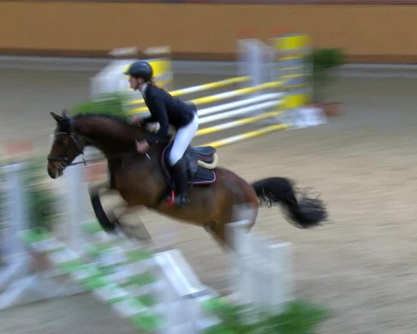 Reitturnier Hamburg-Friedrichshulde/Sylva Kuhrt 2023