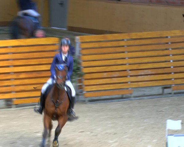 Reitturnier Hamburg-Friedrichshulde/Sylva Kuhrt 2023