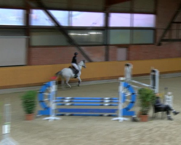 Reitturnier Hamburg-Friedrichshulde/Sylva Kuhrt 2023