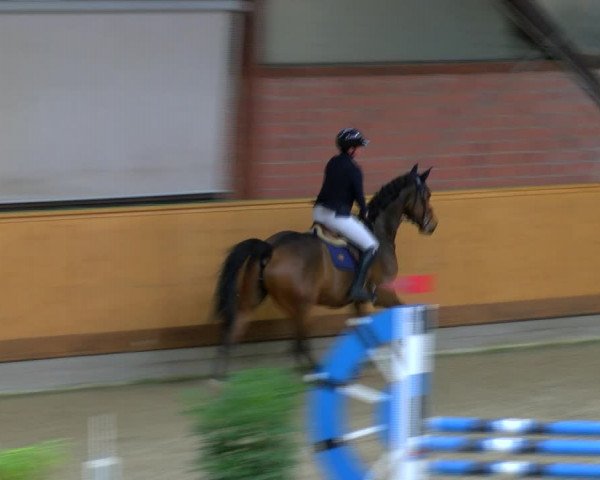 Reitturnier Hamburg-Friedrichshulde/Sylva Kuhrt 2023