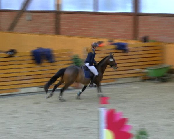 Reitturnier Hamburg-Friedrichshulde/Sylva Kuhrt 2023