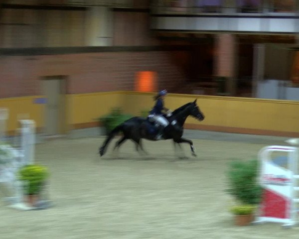 Reitturnier Hamburg-Friedrichshulde/Sylva Kuhrt 2023