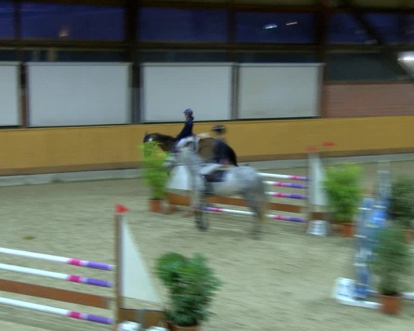 Reitturnier Hamburg-Friedrichshulde/Sylva Kuhrt 2023