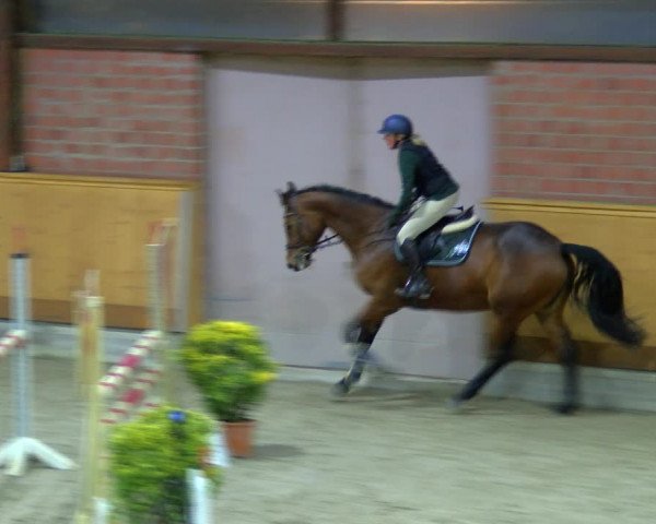 Reitturnier Hamburg-Friedrichshulde/Sylva Kuhrt 2023