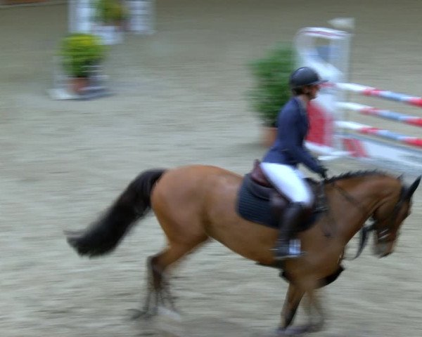 Reitturnier Hamburg-Friedrichshulde/Sylva Kuhrt 2023