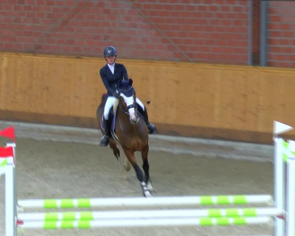 Reitturnier Hamburg-Friedrichshulde/Sylva Kuhrt 2023