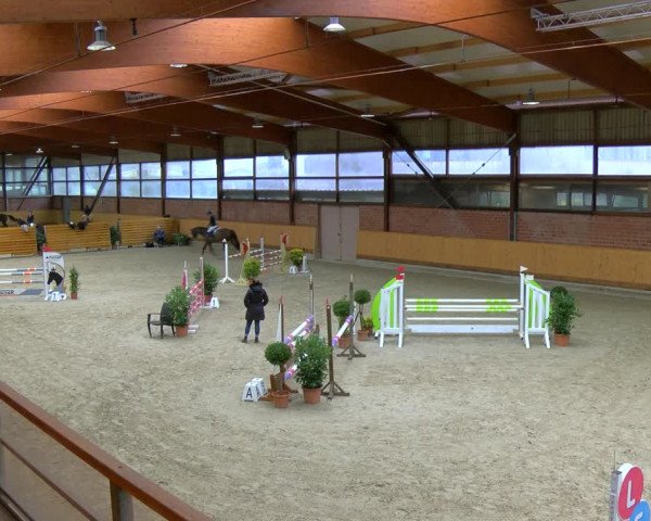 Reitturnier Hamburg-Friedrichshulde/Sylva Kuhrt 2023
