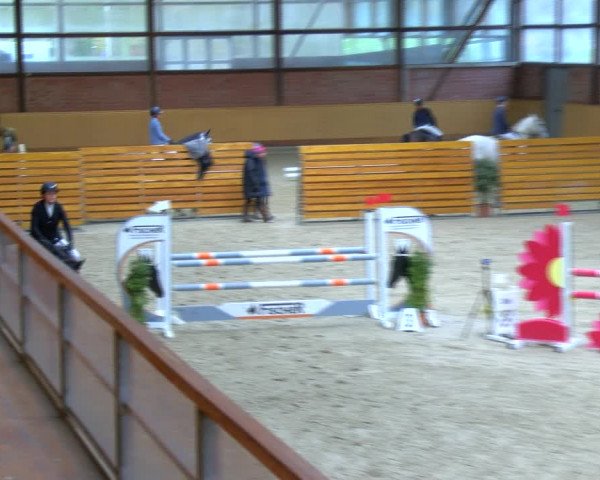 Reitturnier Hamburg-Friedrichshulde/Sylva Kuhrt 2023