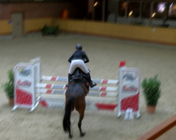 Reitturnier Hamburg-Friedrichshulde/Sylva Kuhrt 2023