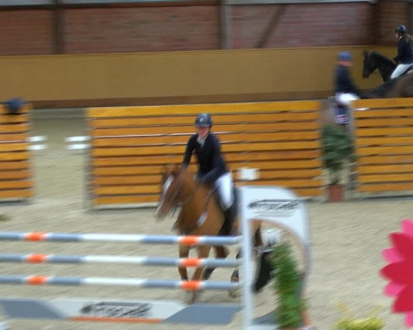 Reitturnier Hamburg-Friedrichshulde/Sylva Kuhrt 2023