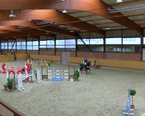 Reitturnier Hamburg-Friedrichshulde/Sylva Kuhrt 2023