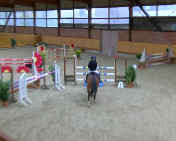 Reitturnier Hamburg-Friedrichshulde/Sylva Kuhrt 2023