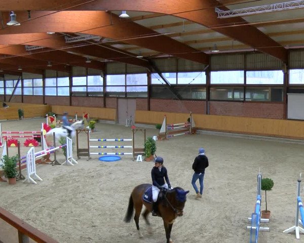 Reitturnier Hamburg-Friedrichshulde/Sylva Kuhrt 2023